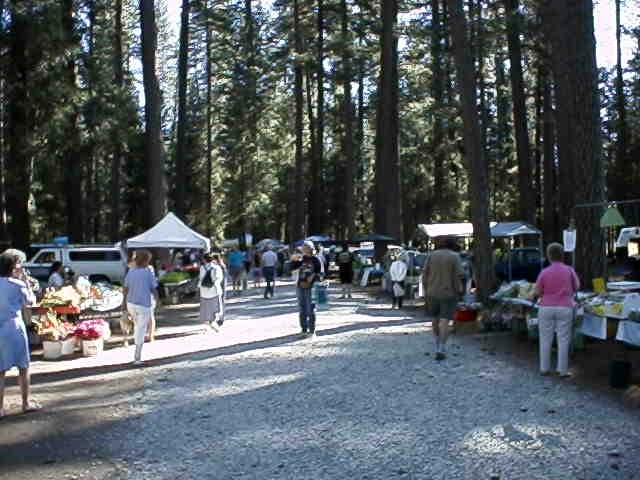 Summer in Grass Valley